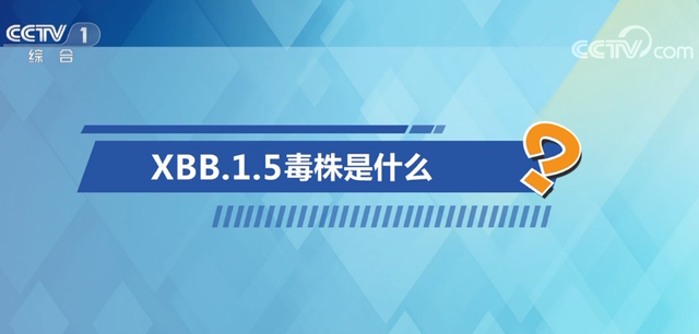 中国疾控中心专家释疑XBB毒株，回应公众五大关切问题